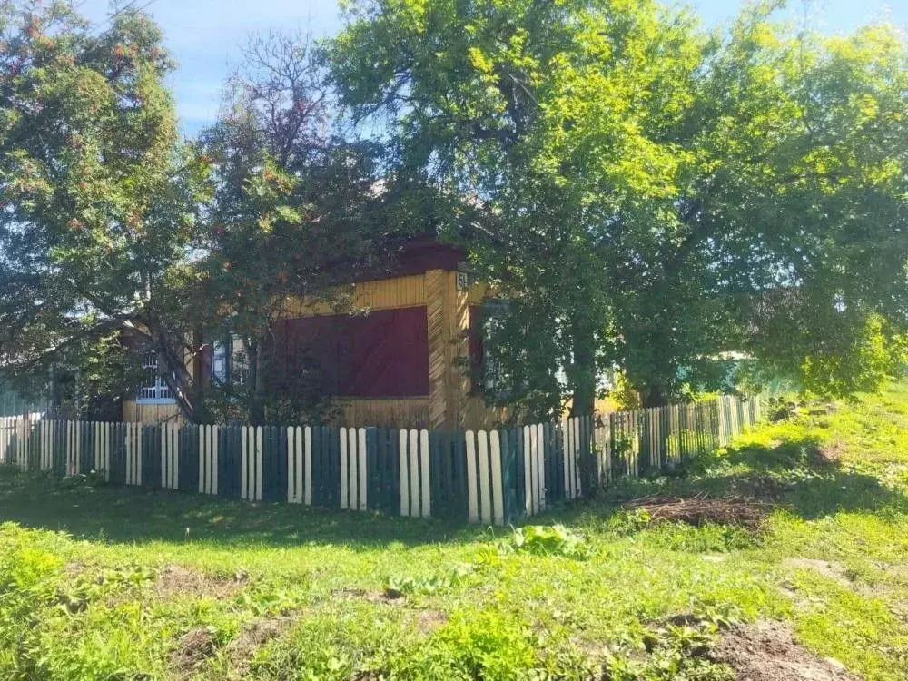 Дом в Иркутская область, Нижнеудинск ул. 3-я Рабочая, 51 (47 м) - Фото 2