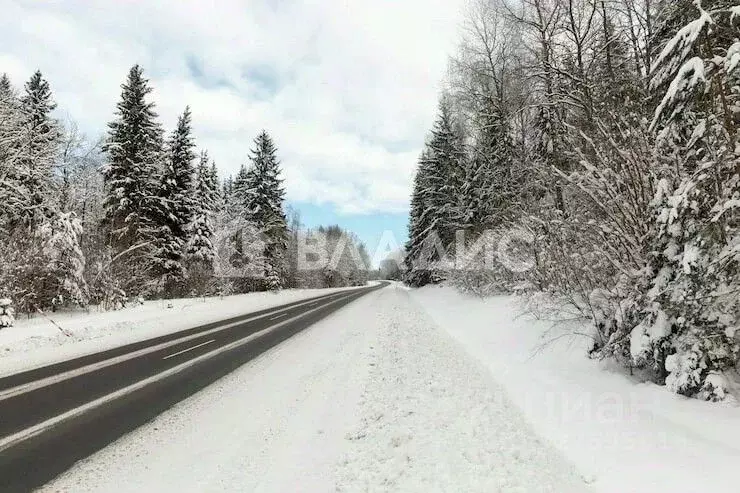Участок в Московская область, Воскресенск городской округ, д. Цибино 1 ... - Фото 1