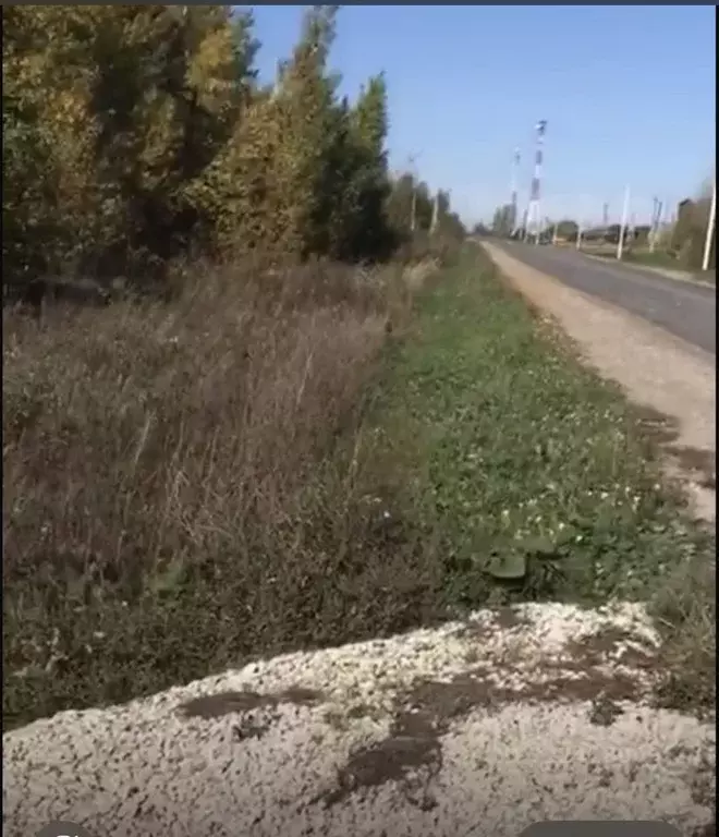 Участок в Рязанская область, с. Захарово ул. Хлобыстова (31.0 сот.) - Фото 2