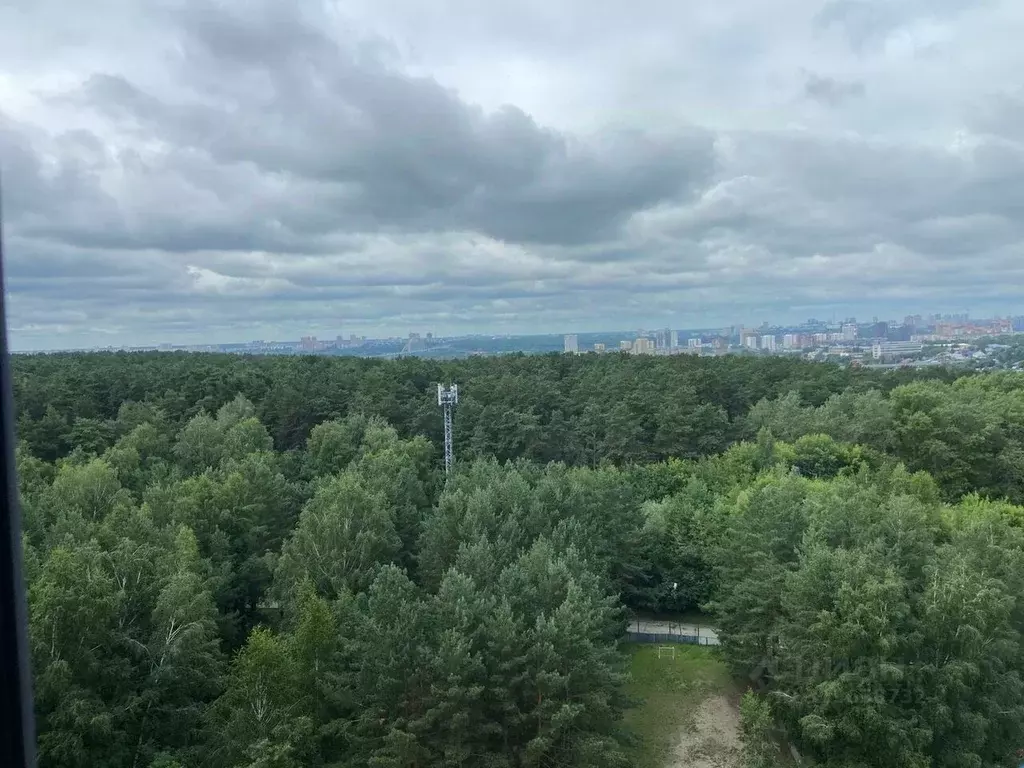 3-к кв. Новосибирская область, Новосибирск Вилюйская ул., 1 (71.0 м) - Фото 0