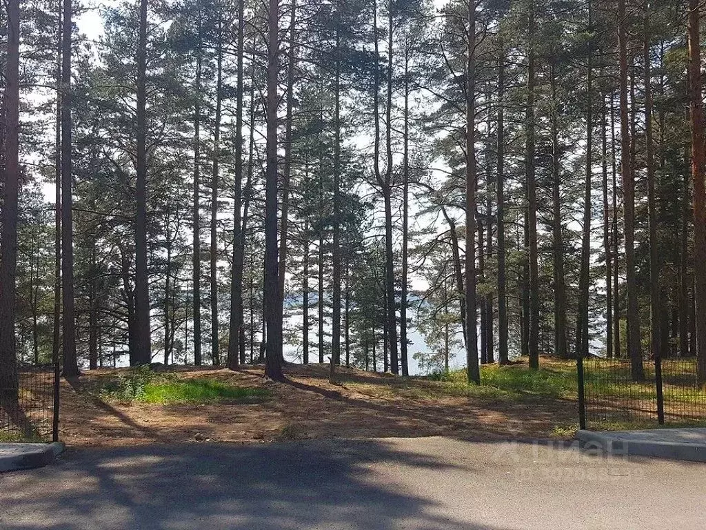 Участок в Ленинградская область, Приозерский район, Громовское с/пос, ... - Фото 0