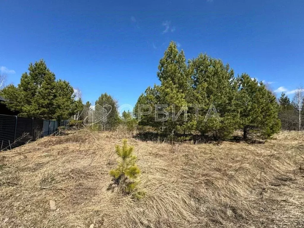 Участок в Тюменская область, Нижнетавдинский муниципальный округ, ... - Фото 1