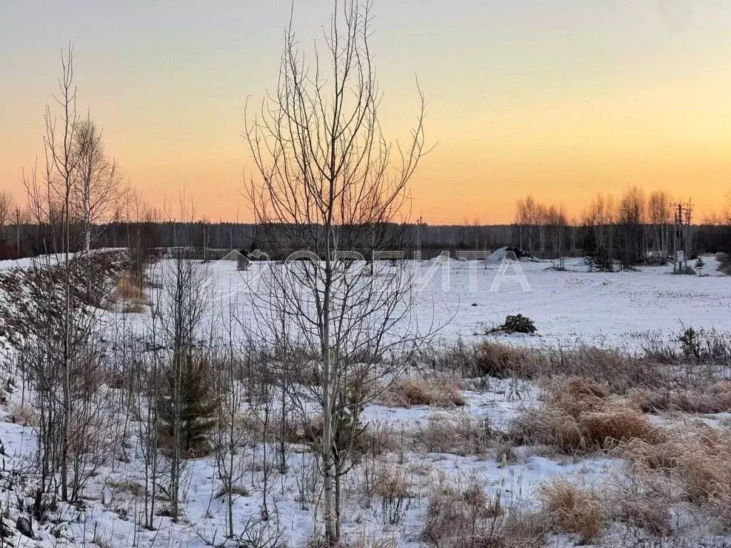 Участок в Тюменская область, Тюменский район, д. Пышминка  (12.3 сот.) - Фото 1