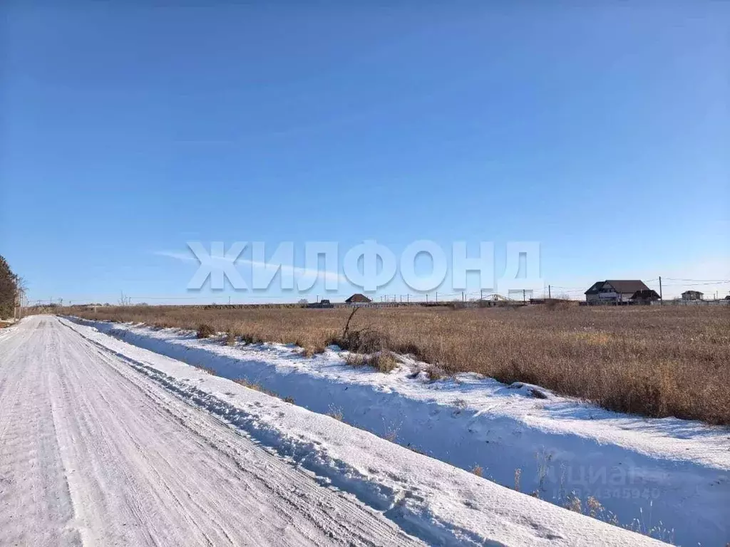 Участок в Амурская область, Благовещенский район, с. Владимировка  ... - Фото 2