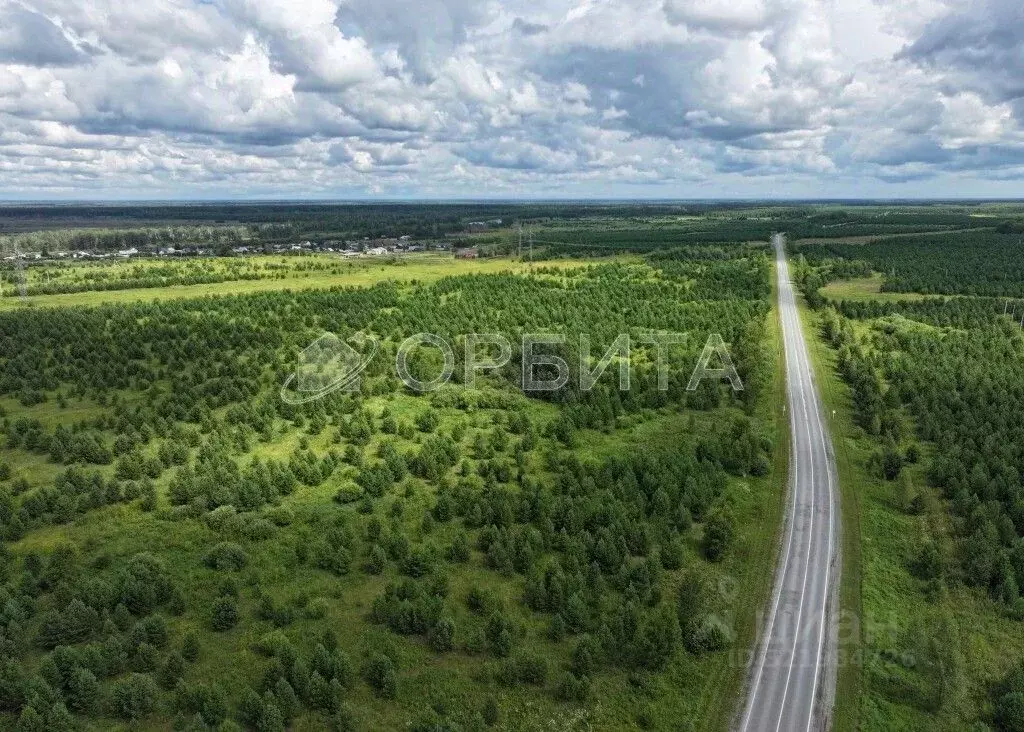 Участок в Свердловская область, Слободо-Туринский район, ... - Фото 1