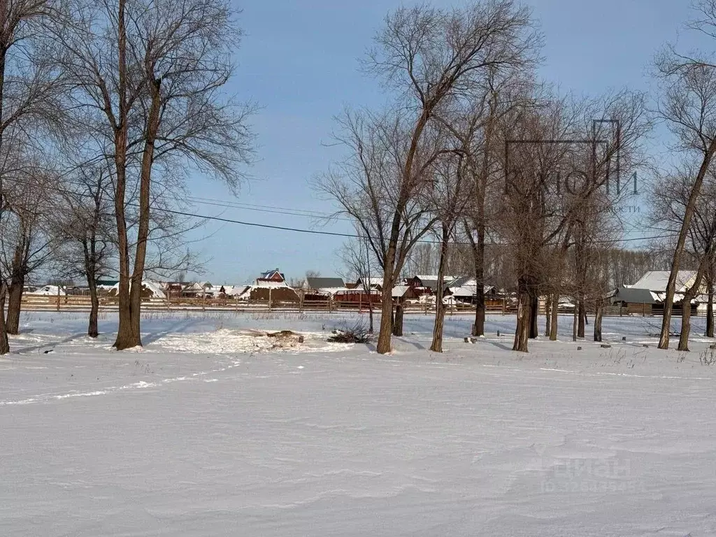 Участок в Башкортостан, Абзелиловский район, Давлетовский сельсовет, ... - Фото 2