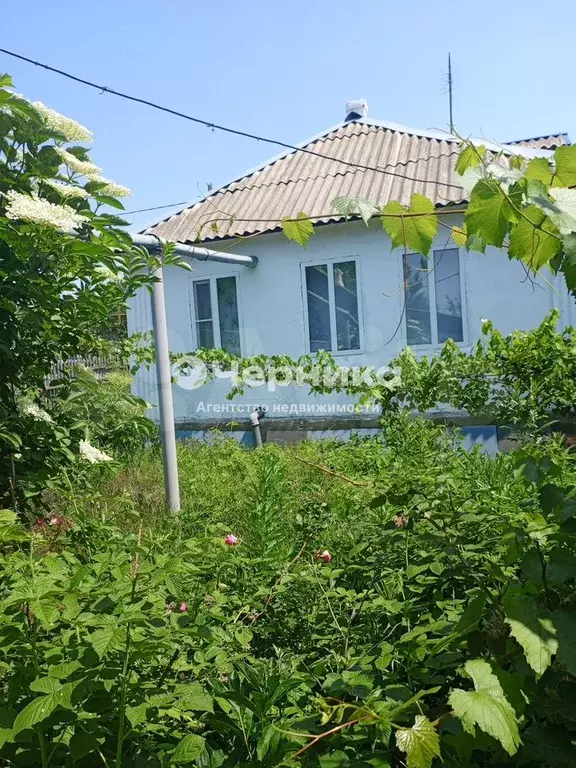 Дом 58,2 м на участке 18,5 сот. - Фото 1
