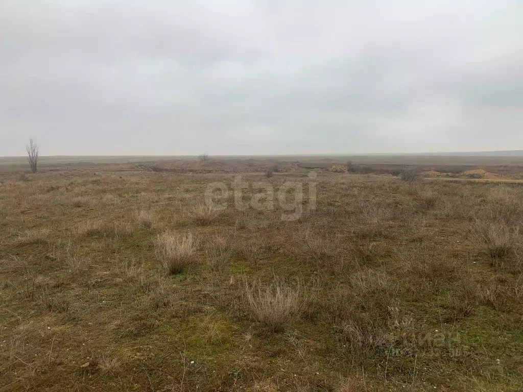 Участок в Крым, Красногвардейский район, с. Амурское  (2873.81 сот.) - Фото 1
