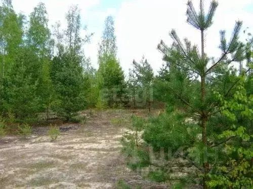 Участок в Забайкальский край, Читинский район, с. Смоленка 1 (16.46 ... - Фото 1