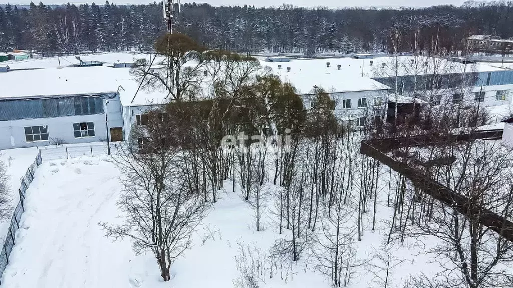 Участок в Ленинградская область, Ломоносовский район, Ропшинское ... - Фото 0