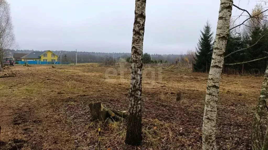Участок в Московская область, Сергиево-Посадский городской округ, д. ... - Фото 1