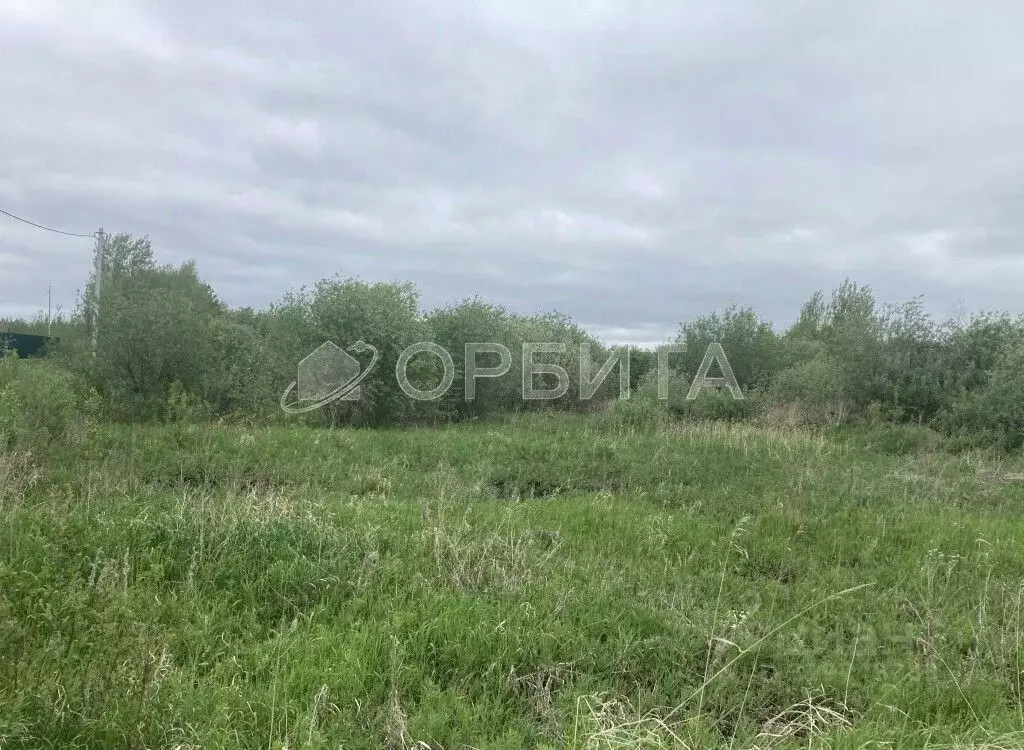 Участок в Тюменская область, Тюмень Садовое товарищество Липовый ... - Фото 1