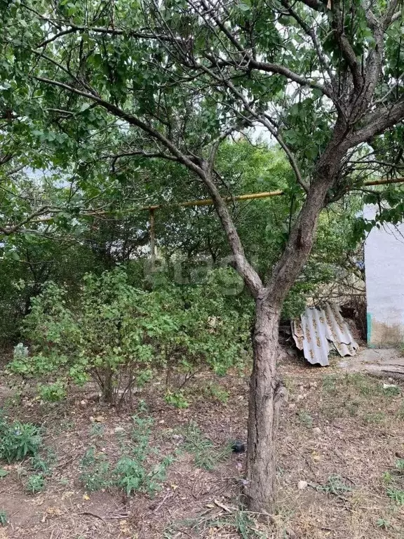 Дом в Крым, Черноморское пгт, Геолог СНТ 71 (57 м) - Фото 2