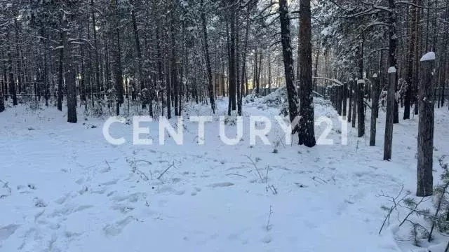 Участок, 10 сот., поселения (ижс) - Фото 1