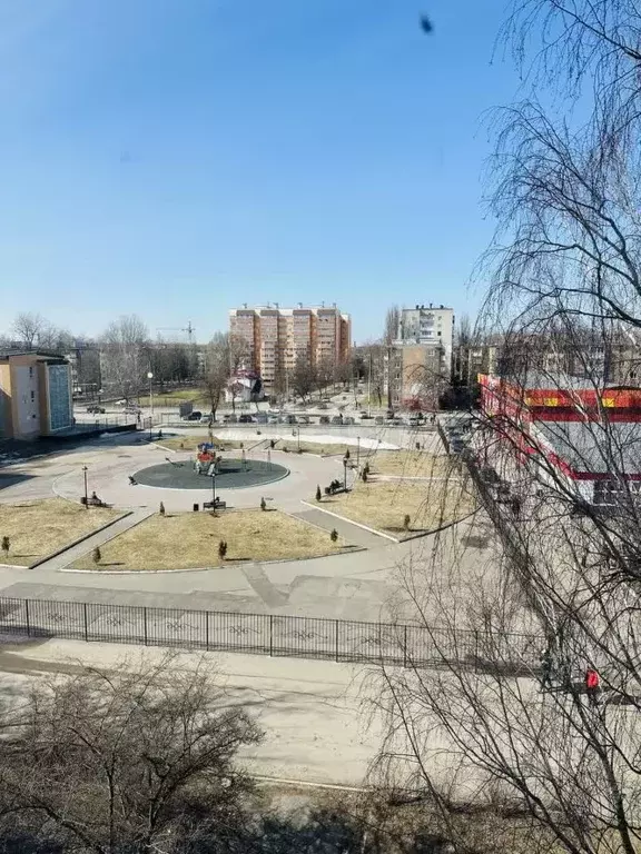 Комната Брянская область, Брянск Клинцовская ул., 64 (16.0 м) - Фото 1