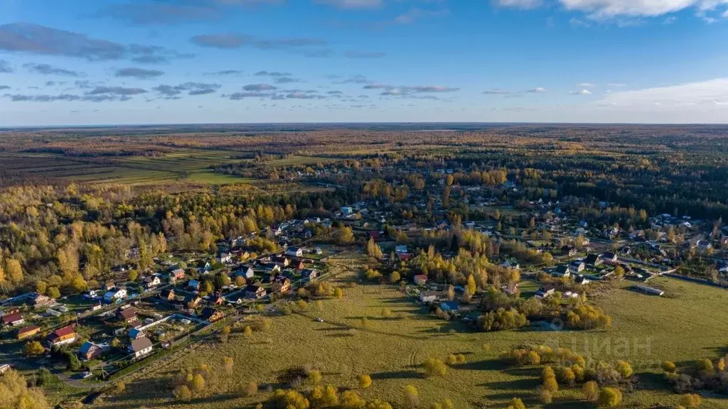 Участок в Ленинградская область, Всеволожский район, Куйвозовское ... - Фото 1