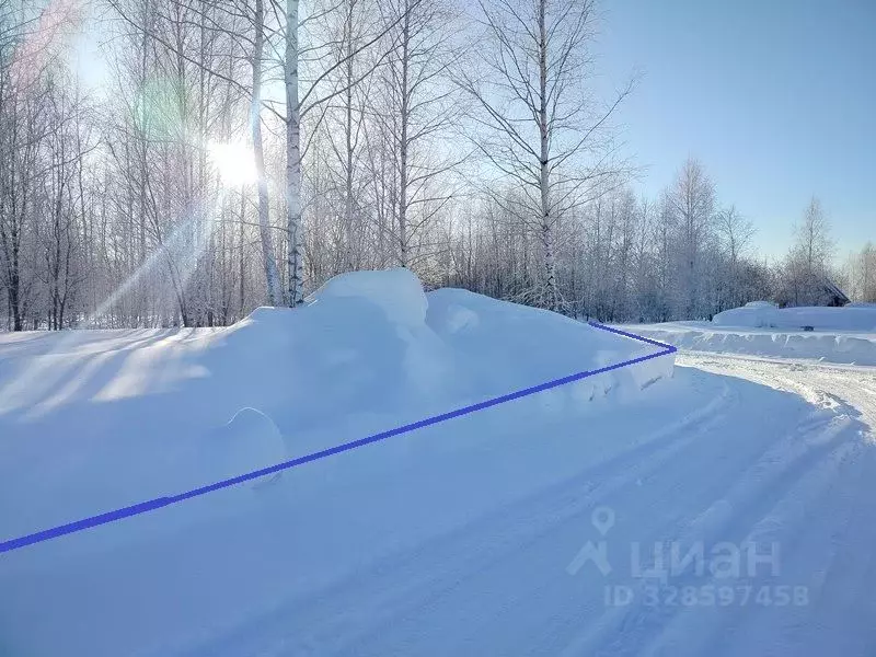 Участок в Новосибирская область, Новосибирский район, Станционный ... - Фото 1