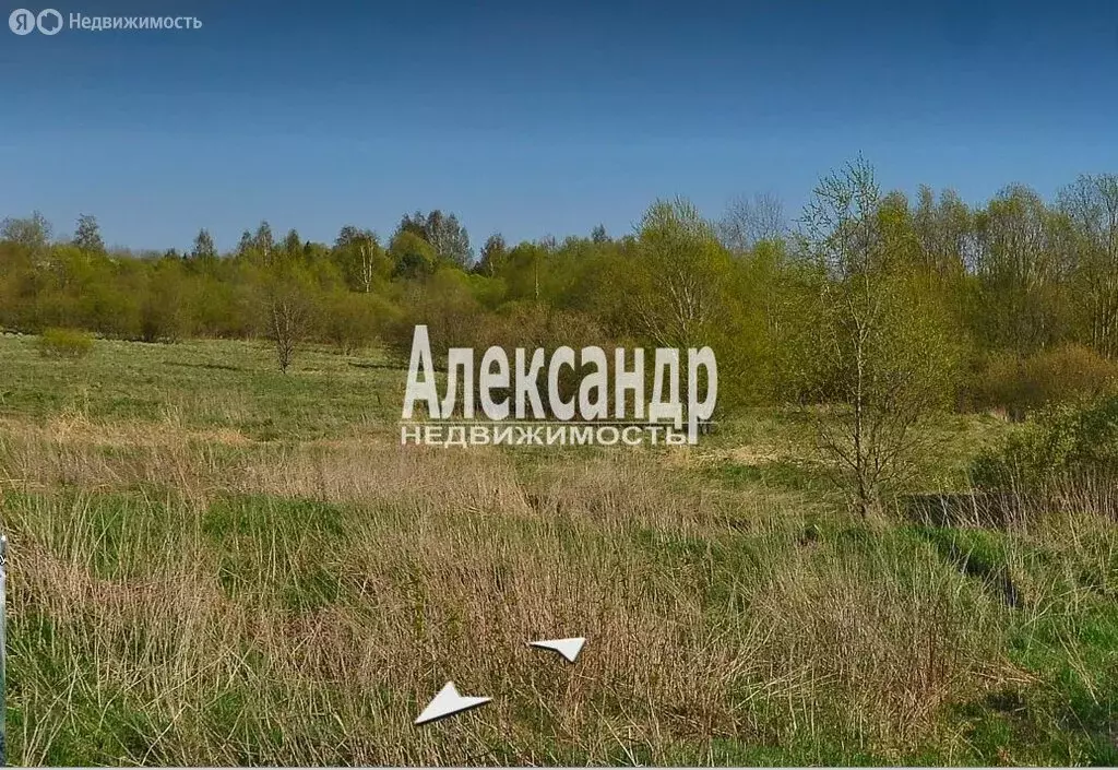 Участок в Приозерский район, Красноозёрное сельское поселение, деревня ... - Фото 1