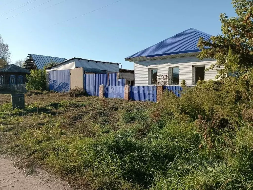 Дом в Новосибирская область, Колыванский район, д. Малый Оеш Трудовая ... - Фото 0