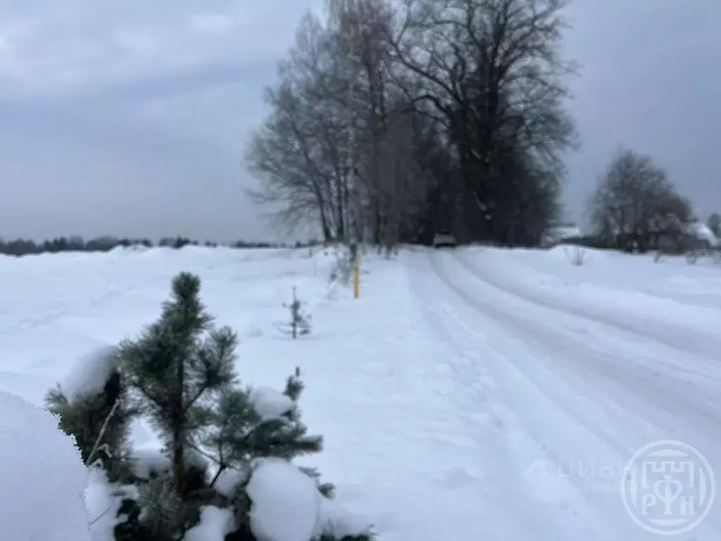 Участок в Ленинградская область, Лужский район, Скребловское с/пос, д. ... - Фото 1