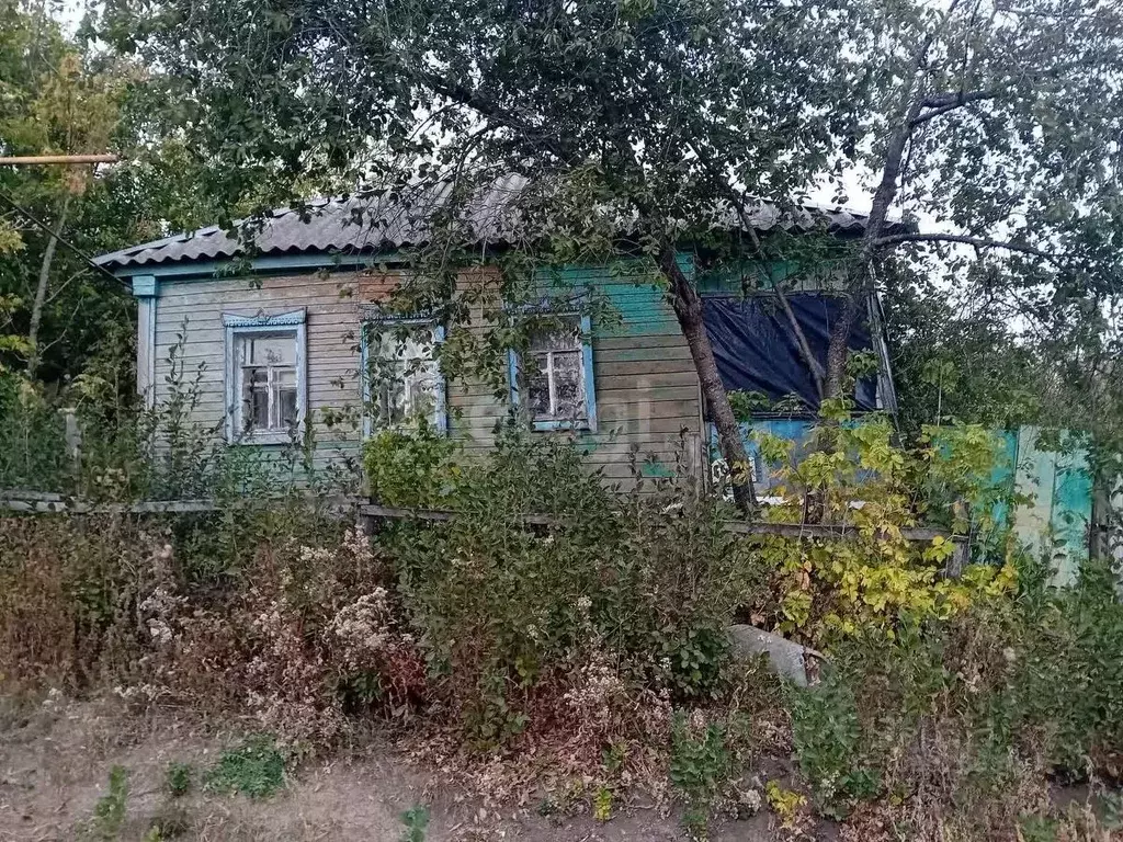 Дом в Белгородская область, Красногвардейский район, Веселовское ... - Фото 0