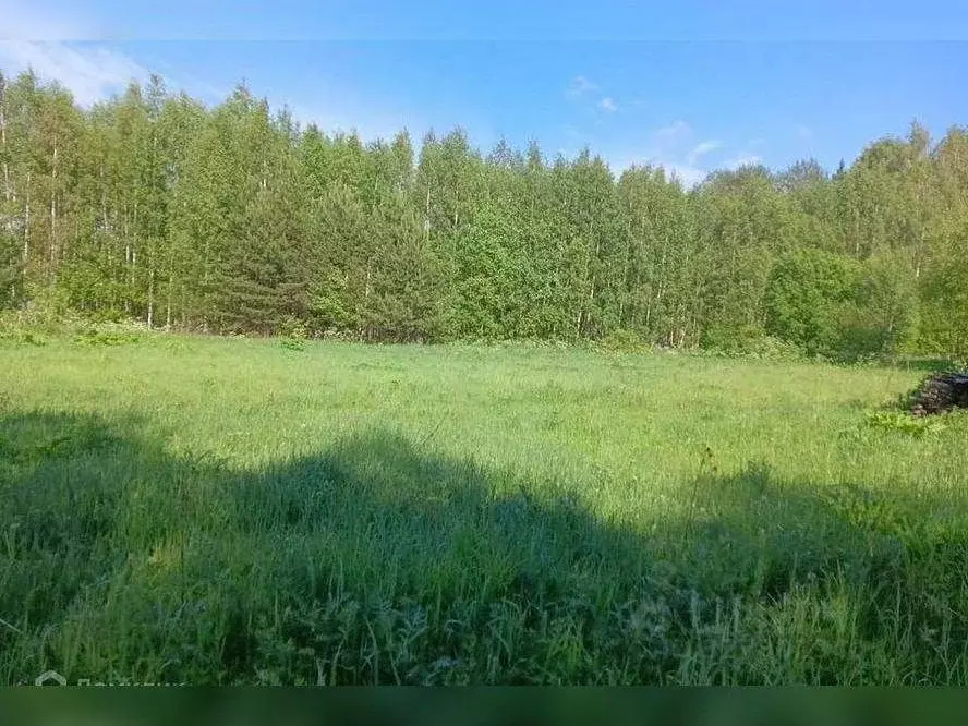 Участок в Московская область, Сергиево-Посадский городской округ, ДНП ... - Фото 1