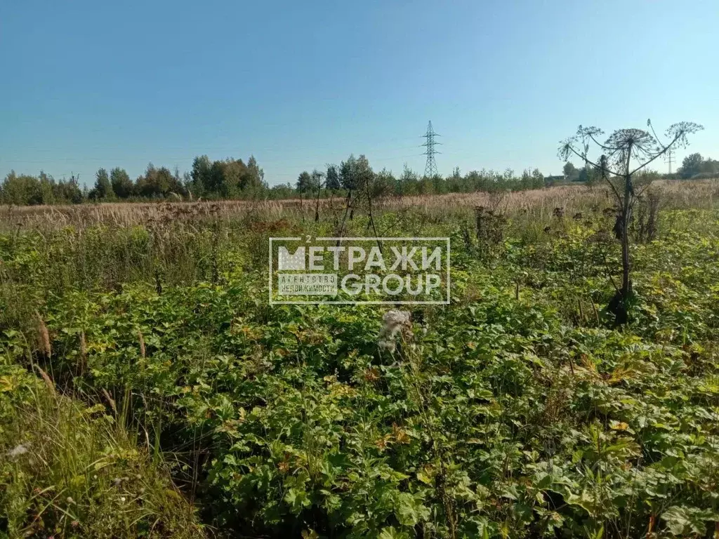 Участок в Московская область, Пушкинский городской округ, с. Путилово  ... - Фото 1