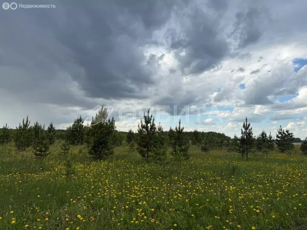 Участок в Тюмень, садовое товарищество Корабельщик (11 м) - Фото 1
