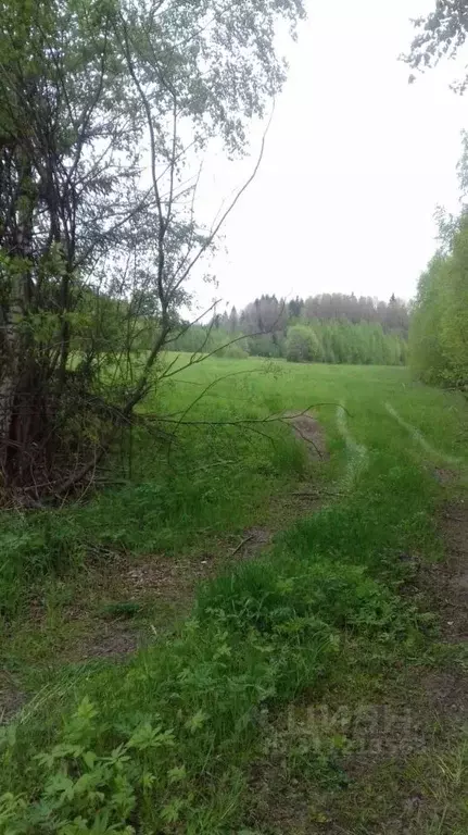 Участок в Ленинградская область, Выборгский район, Полянское с/пос, ... - Фото 1