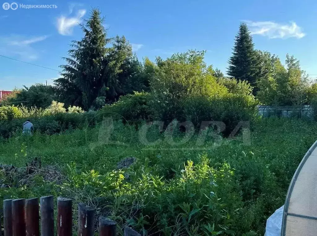 Участок в Тюменский муниципальный округ, село Кулаково (6 м) - Фото 2