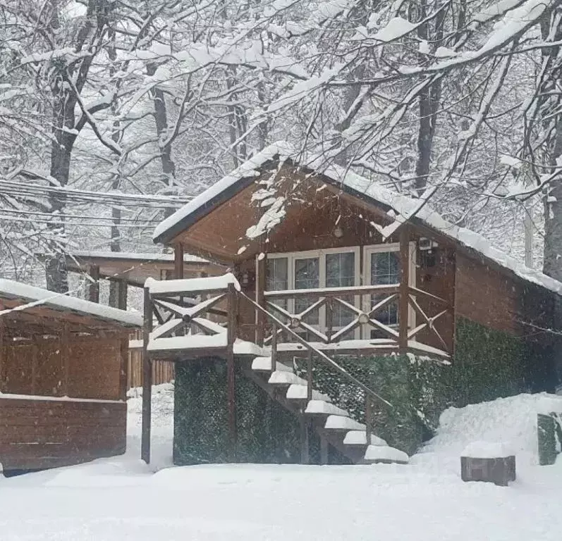 Дом в Карачаево-Черкесия, Зеленчукский район, с. Архыз  (20 м) - Фото 2