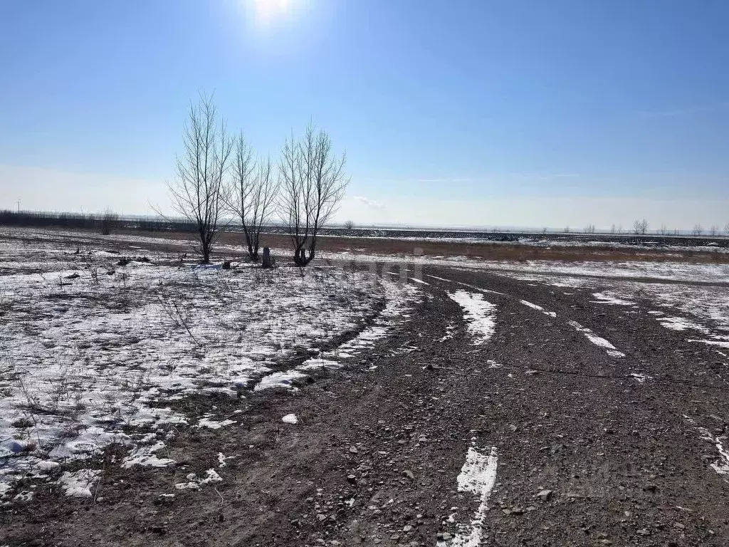 Участок в Забайкальский край, Чита Сосновая ул. (10.0 сот.) - Фото 0