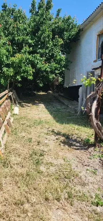 Дом в Краснодарский край, Анапа муниципальный округ, с. Варваровка  ... - Фото 1