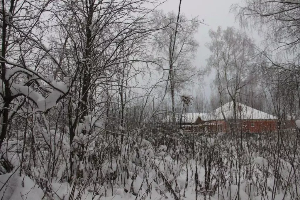 Участок в Московская область, Шаховская муниципальный округ, Шаховская ... - Фото 1