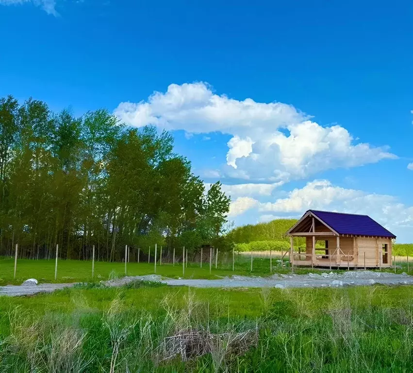 Участок в Тюменская область, Тюменский район, с. Луговое ул. ... - Фото 0