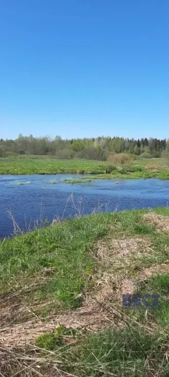 Участок в Нижегородская область, Тоншаевский муниципальный округ, д. ... - Фото 1