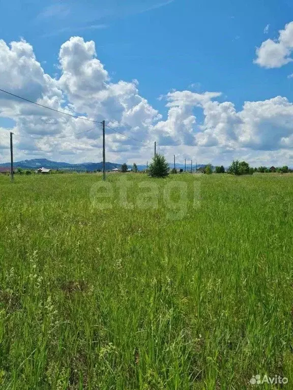 Участок в Алтай, Майминский район, с. Подгорное  (10.0 сот.) - Фото 1