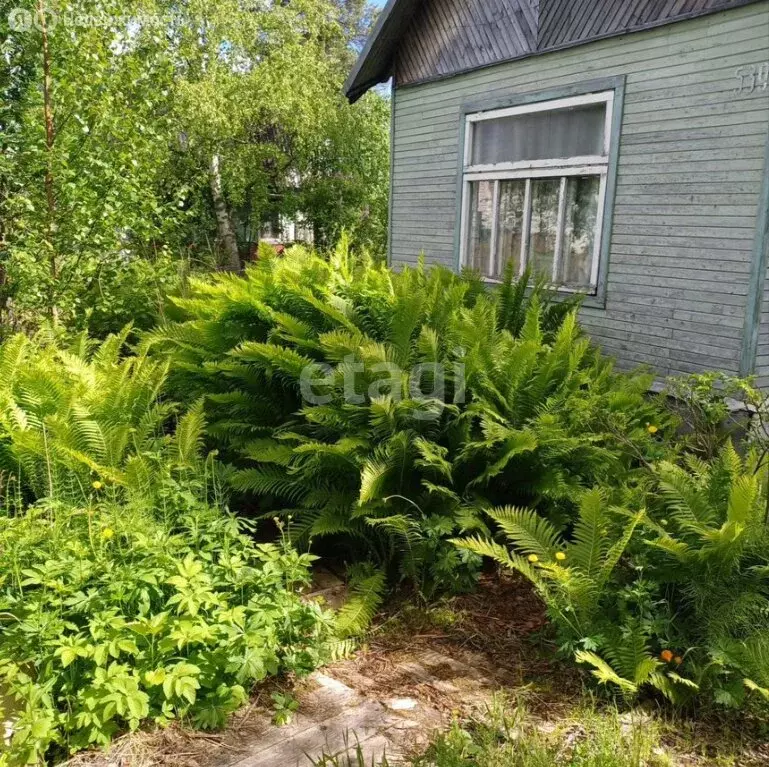 Дом в Архангельская область, Приморский муниципальный округ, СНТ ... - Фото 2