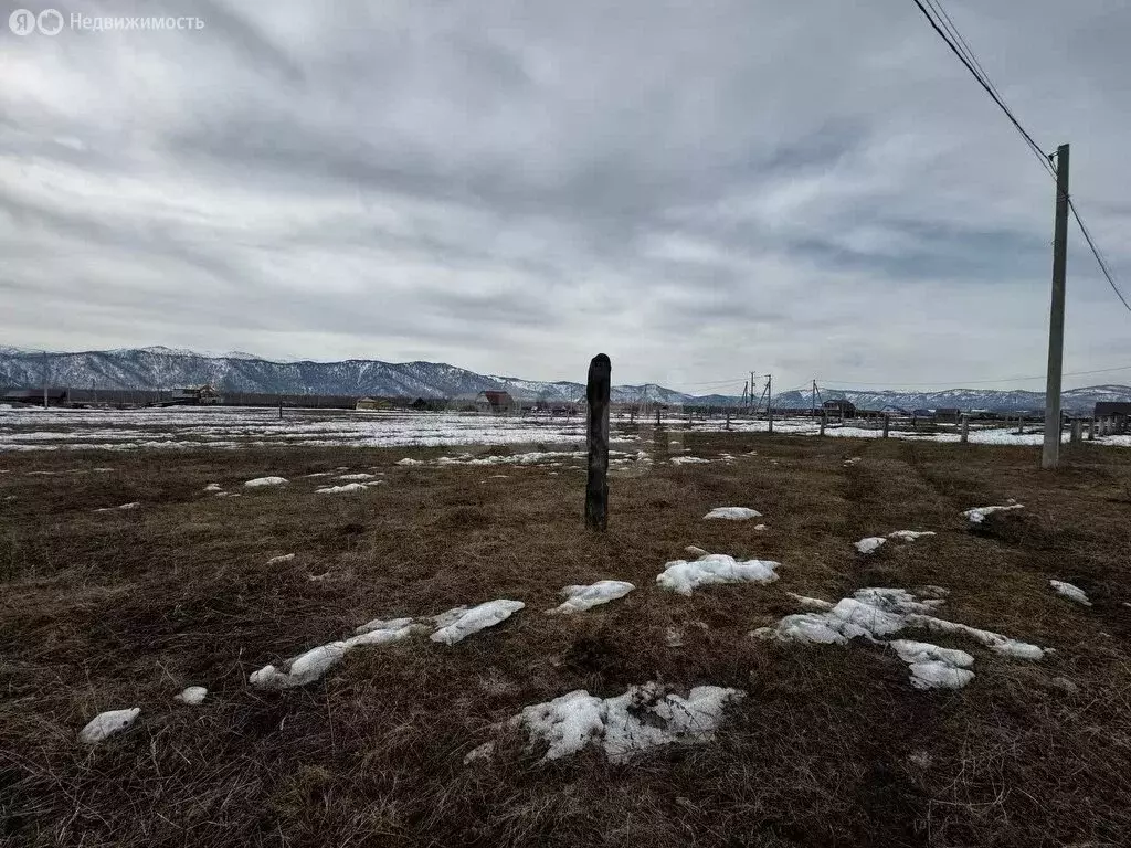 Участок в Усть-Кокса, Уймонская улица (12.4 м) - Фото 2