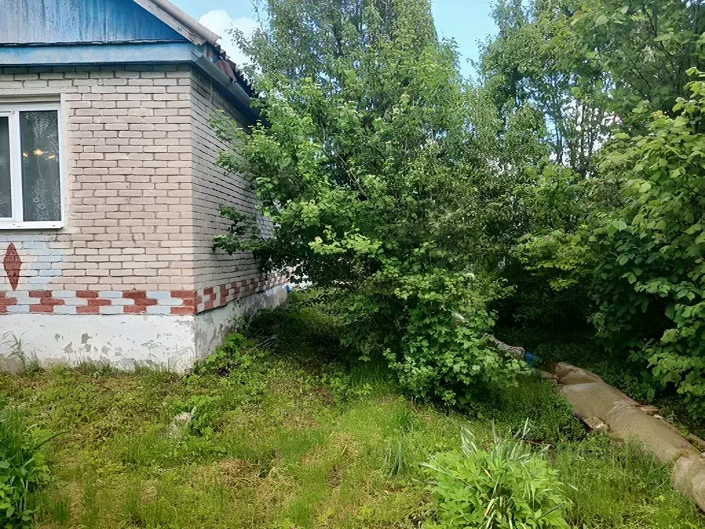 Дом в Новгородская область, Сольцы г. Солецкий муниципальный округ, ... - Фото 0