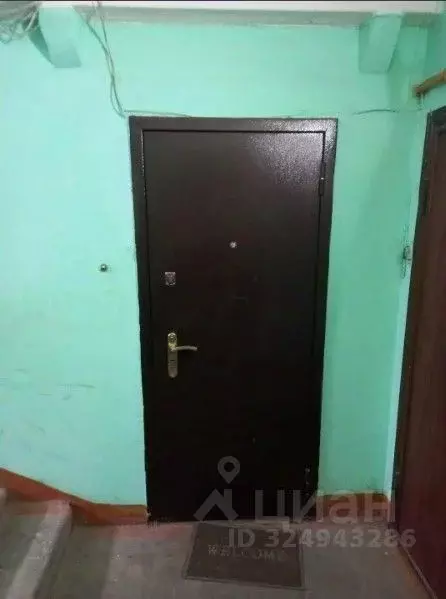 2-к кв. Пензенская область, Пенза Вадинская ул., 10 (49.8 м) - Фото 2