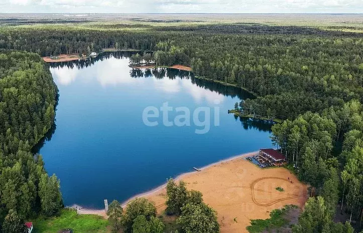 Участок в Ленинградская область, Всеволожский район, Колтушское ... - Фото 1