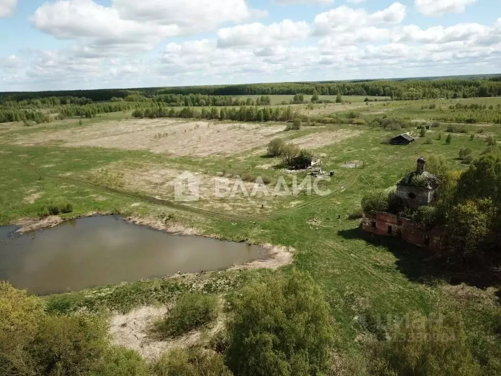 Участок в Владимирская область, Суздальский район, Новоалександровское ... - Фото 2