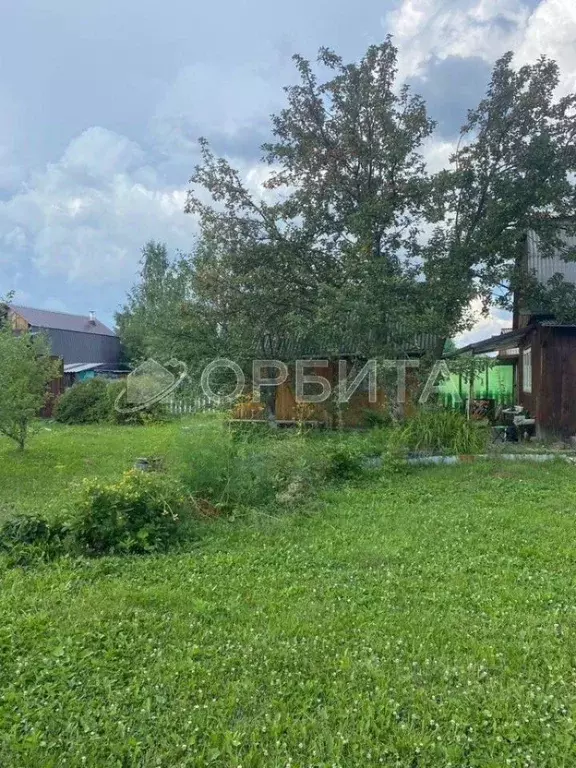Дом в Тюменская область, Тюменский район, Нива СНТ ул. Урожайная, 351 ... - Фото 1