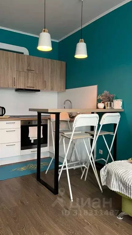 Студия Санкт-Петербург Комендантский просп., 64к1 (25.0 м) - Фото 0