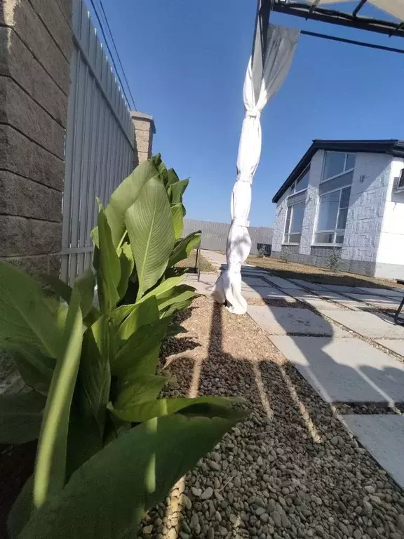 Дом в Краснодарский край, Анапа пл. Советов (66 м) - Фото 2