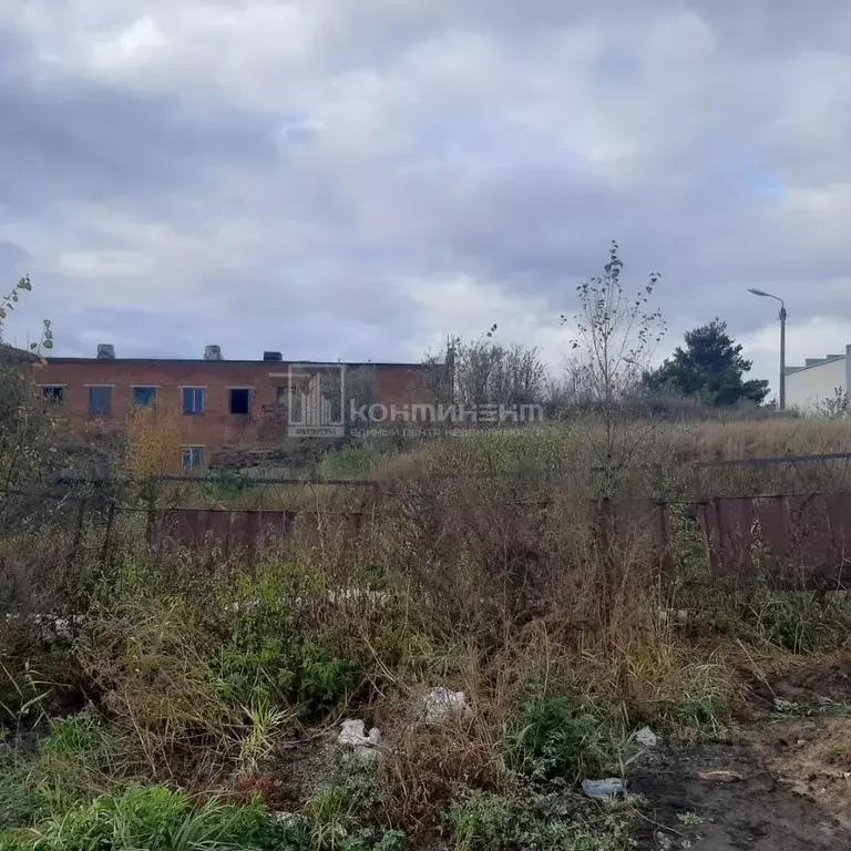 Производственное помещение в Владимирская область, Покров ул. Франца ... - Фото 2