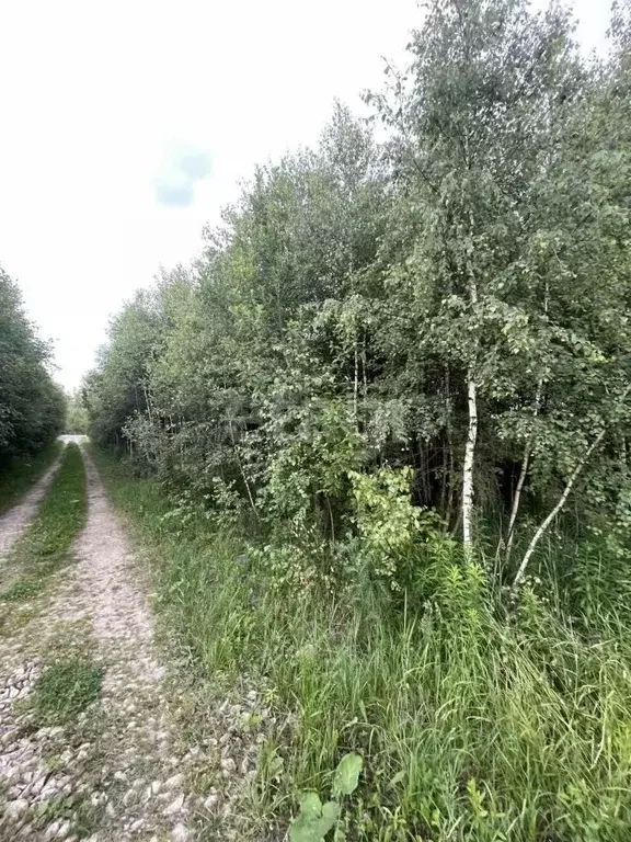 Участок в Тульская область, Тула городской округ, д. Коптево 74Б-4 ... - Фото 1