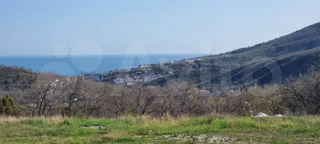 Участок 4 сот. (СНТ, ДНП) - Фото 0