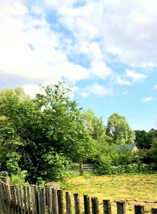 Участок в Татарстан, Зеленодольский район, Айшинское с/пос, д. ... - Фото 1
